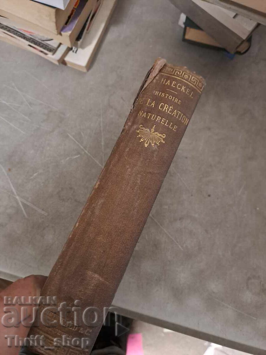 Historie de la creation - 5 Historie de la creation - 5