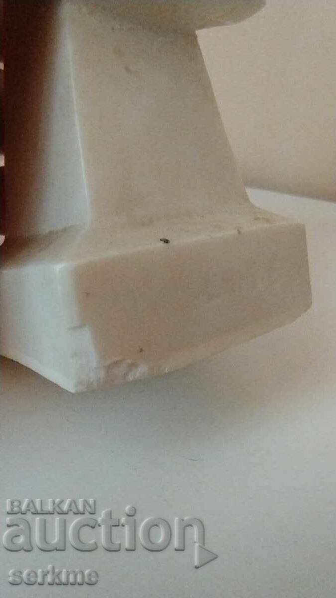 Bust de Goethe - 5 Bust de Goethe - 5