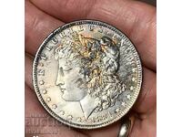 Morgan Dollar from 1884