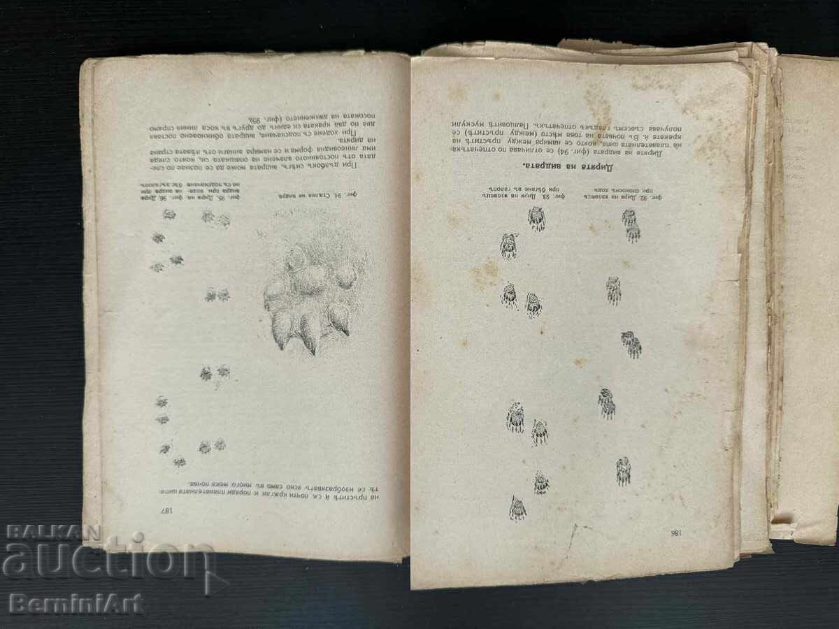 Παράδοση Μυστικά και μέθοδοι κυνηγιού. Πλήρης πρακτικός οδηγός για το κυνήγι