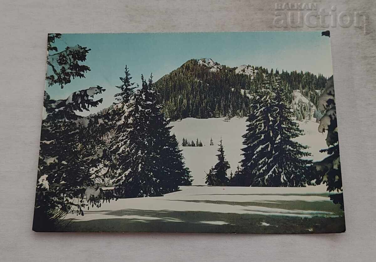 КУРОРТ "В.КОЛАРОВ"/ПАМПОРОВО П.К. 1964 г.