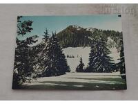 ΘΕΡΕΤΡΟ "Β.ΚΟΛΑΡΟΦ"/ΠΑΜΠΟΡΟΒΟ Τ.Θ. 1964