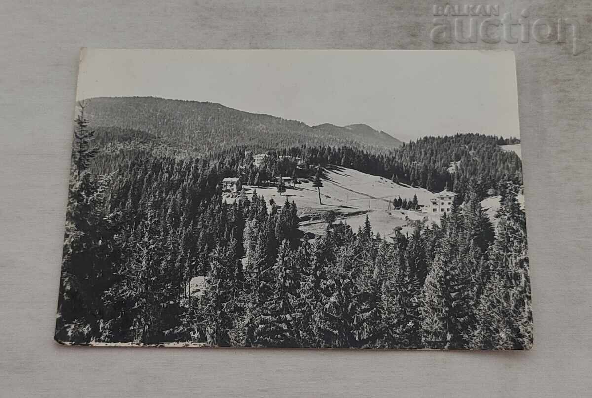 КУРОРТ "В.КОЛАРОВ"/ПАМПОРОВО П.К. 1964 г.