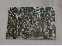 BALCHIK CACTI BOTANICAL GARDEN P.K. 1980