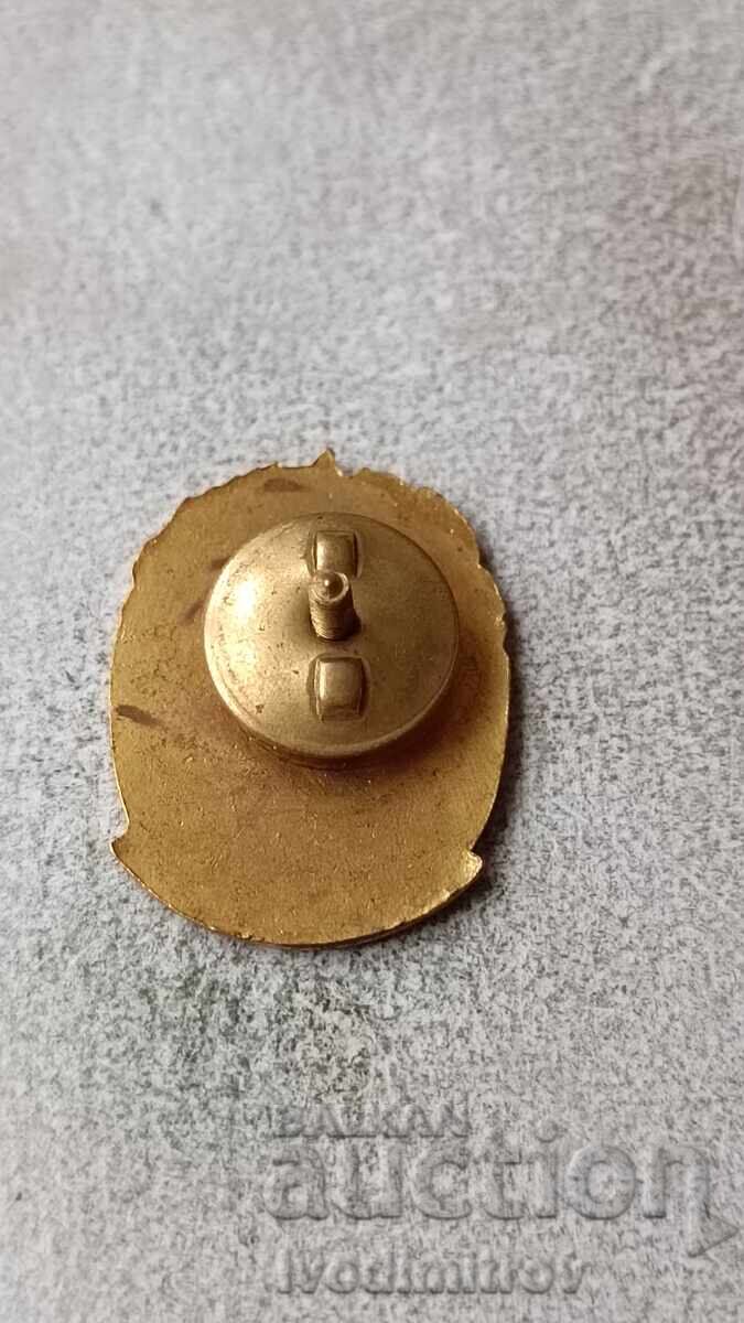 Semn de piept Distincție pentru activitate culturală cu preț 14.65 BGN | € 7.49