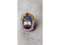 Σημάδι Στήθους Αριστείας για Δραστηριότητες Κοινοτικού Κέντρου