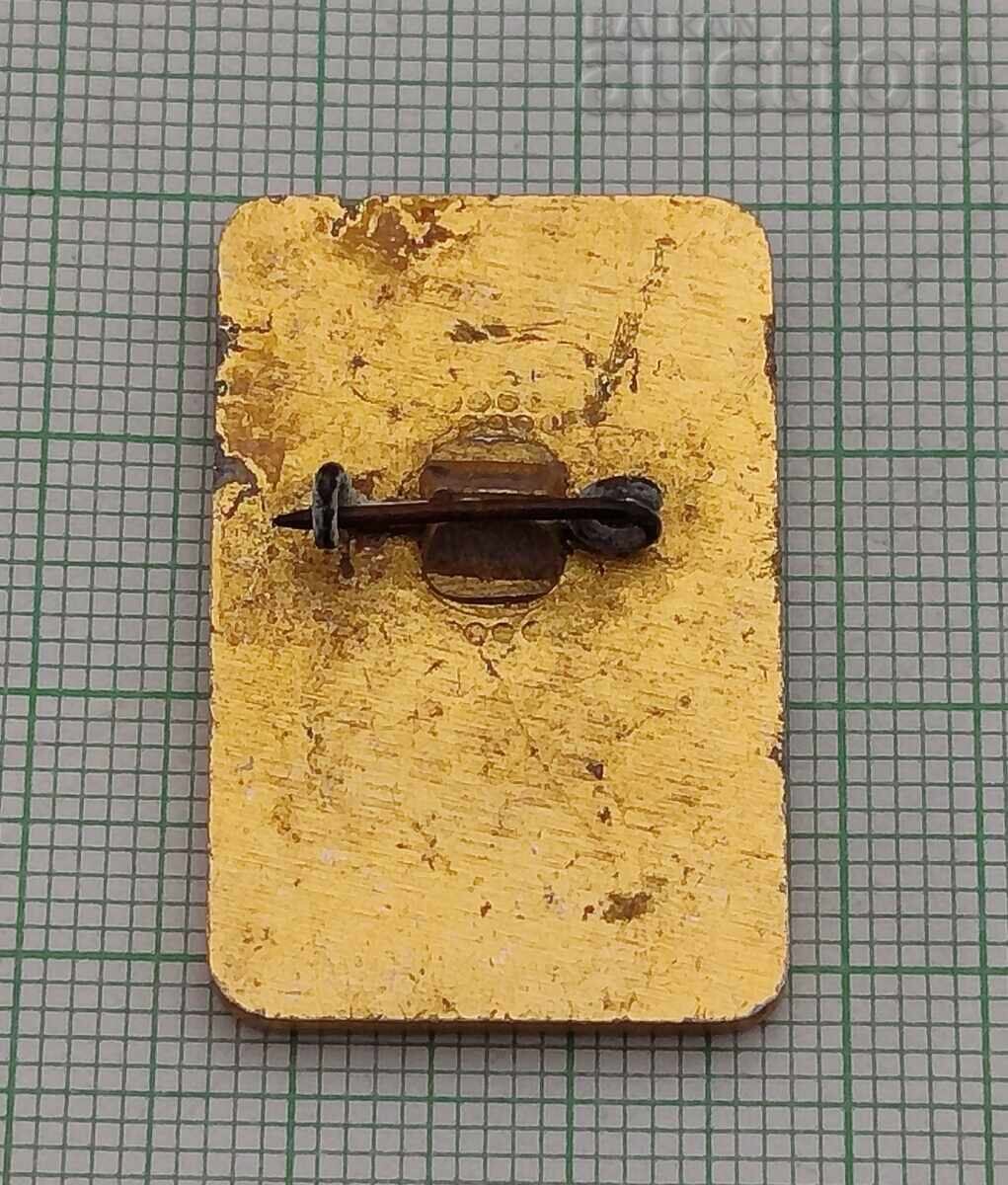 INSIGNĂ DE PIONIER PENTRU TINERI CREATORI cu preț € 1.02 | 1.99 BGN