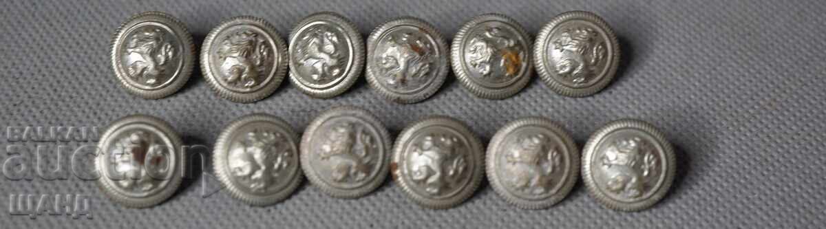 12 Old Buttons for Military Uniform with Lion