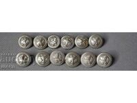 12 Old Buttons for Military Uniform with Lion