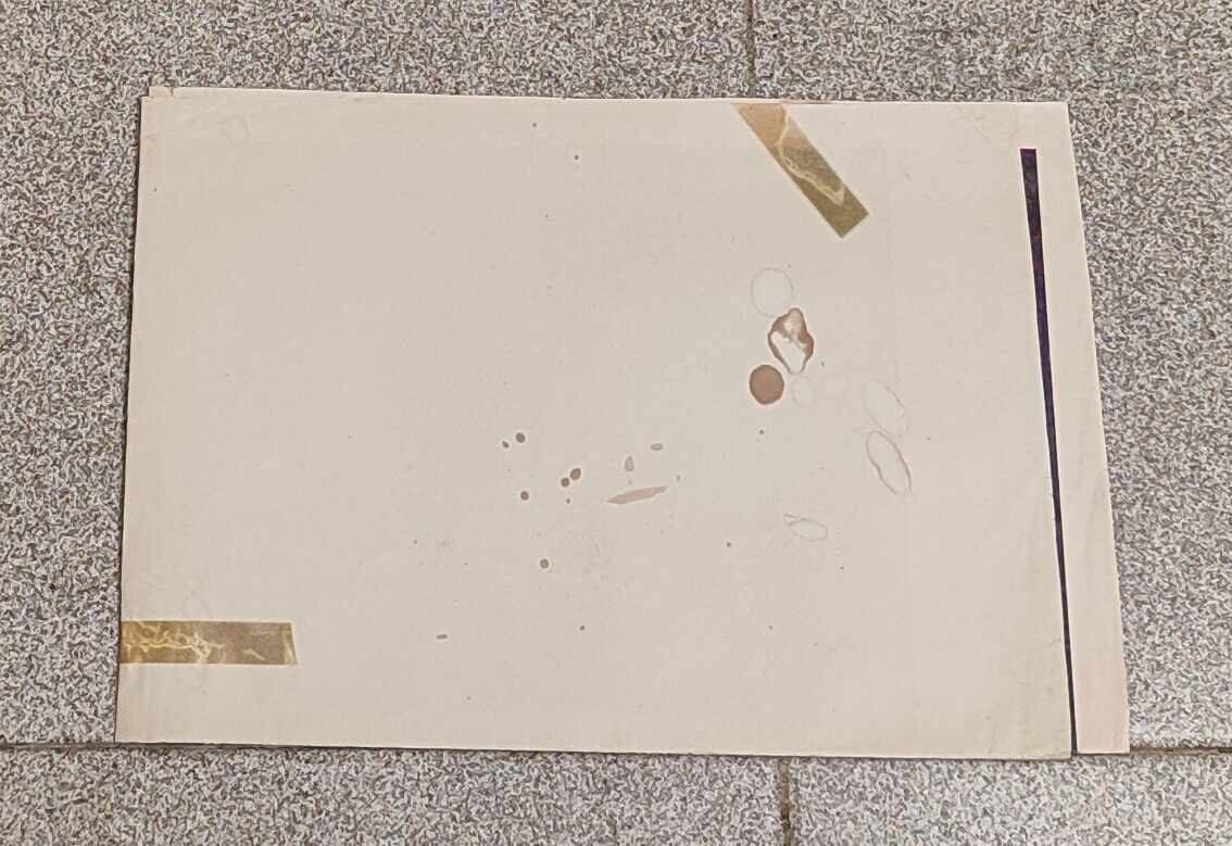 Δημοπρασία ΕΞΑΡΧΟΣ ΙΩΣΗΦ ΠΡΩΤΟΣ ΧΟΥΔ. ΙΒΑΝ ΜΥΡΚΒΙΤΣΚΑ ΠΟΣΤΕΡ 1936 μ