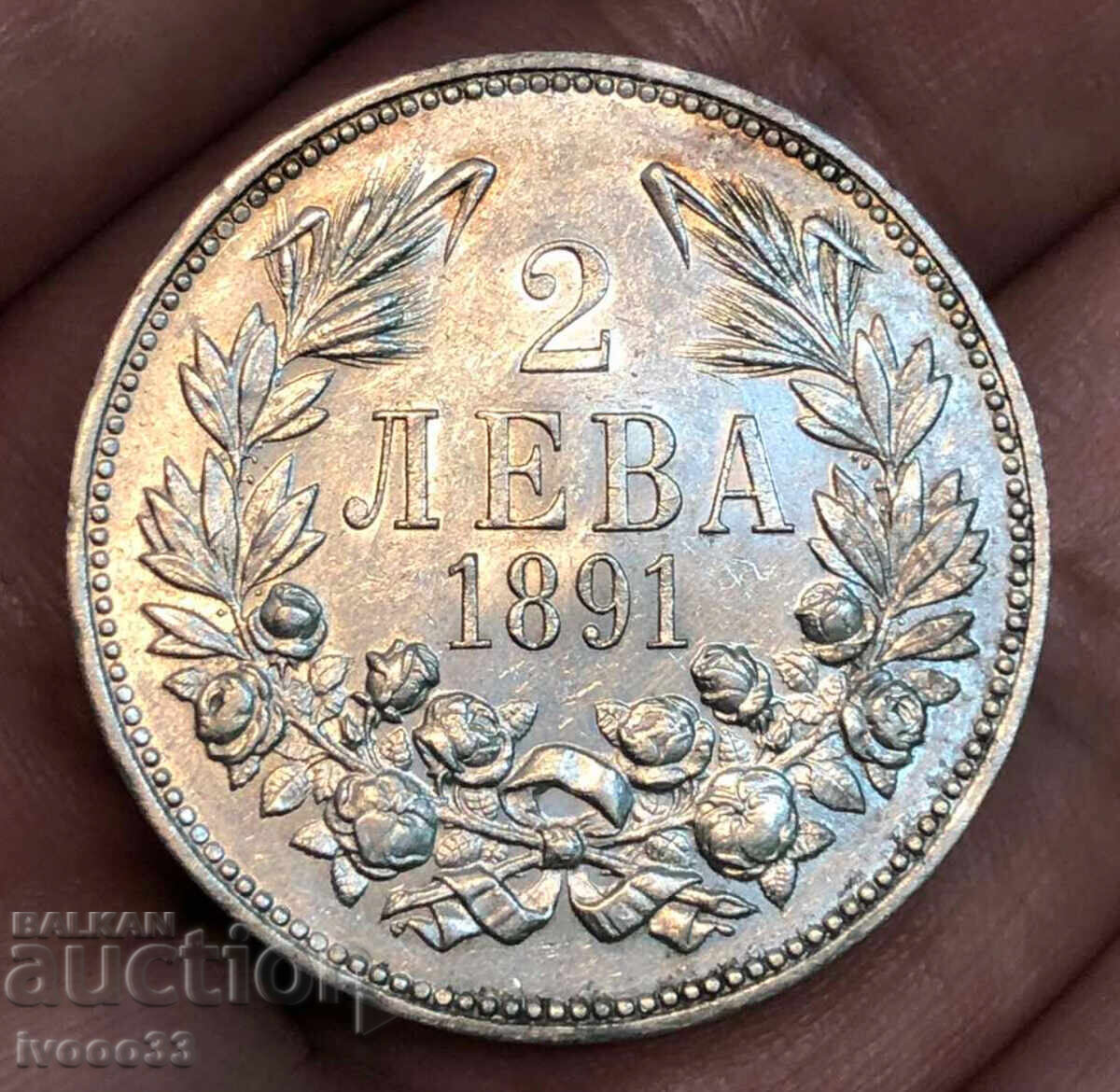 2 Leva 1891 Top, suitable for grading! - 6 2 Leva 1891 Top, suitable for grading! - 6
