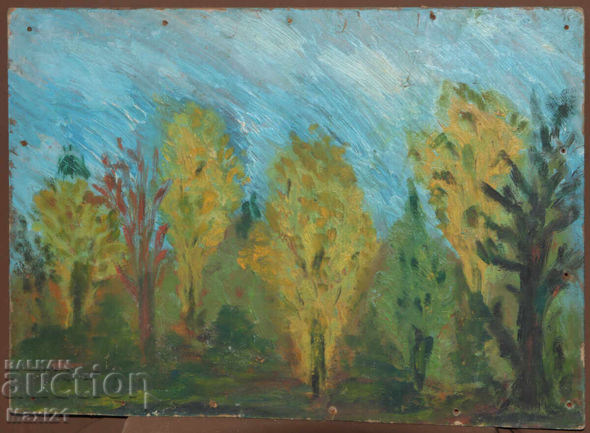 Картина маслени бои природен пейзаж с цена 260.00 лв. | € 132.94