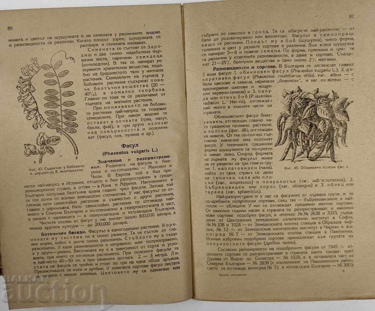 Δημοπρασία 1948 ΙΔΙΩΤΙΚΗ ΓΕΩΡΓΙΑ Δημοπρασία 1948 ΙΔΙΩΤΙΚΗ ΓΕΩΡΓΙΑ