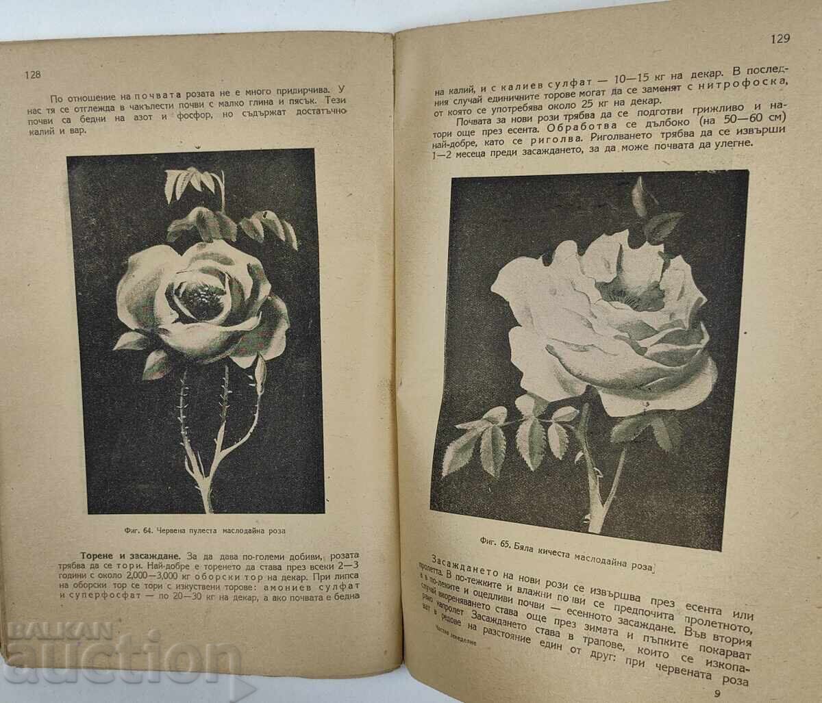 Παράδοση 1948 ΙΔΙΩΤΙΚΗ ΓΕΩΡΓΙΑ Παράδοση 1948 ΙΔΙΩΤΙΚΗ ΓΕΩΡΓΙΑ