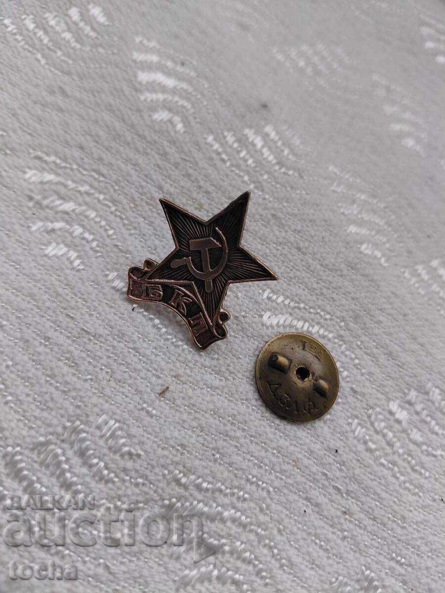 Breast badge, pin. BZTs - 5 Breast badge, pin. BZTs - 5