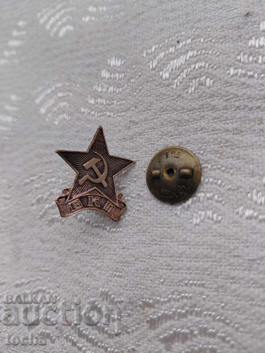 Breast badge, pin. BZTs Breast badge, pin. BZTs