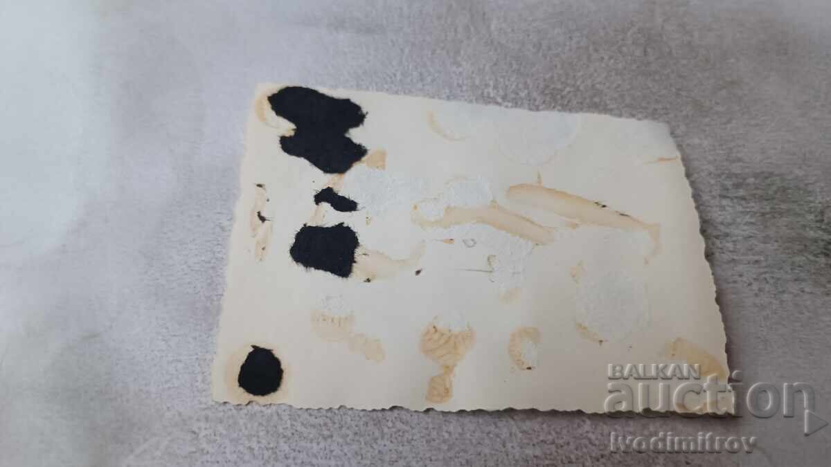 Auction Photo of a Newly Built Building with the Inscription "Welcome Dear Guests" Auction Photo of a Newly Built Building with the Inscription "Welcome Dear Guests"