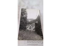 Εικόνα από το Παμπόρο (Pamporovo)