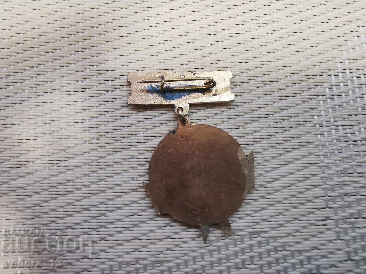 Аукцион ЗНАЧКА-ЕМАЙЛБРОНЗ