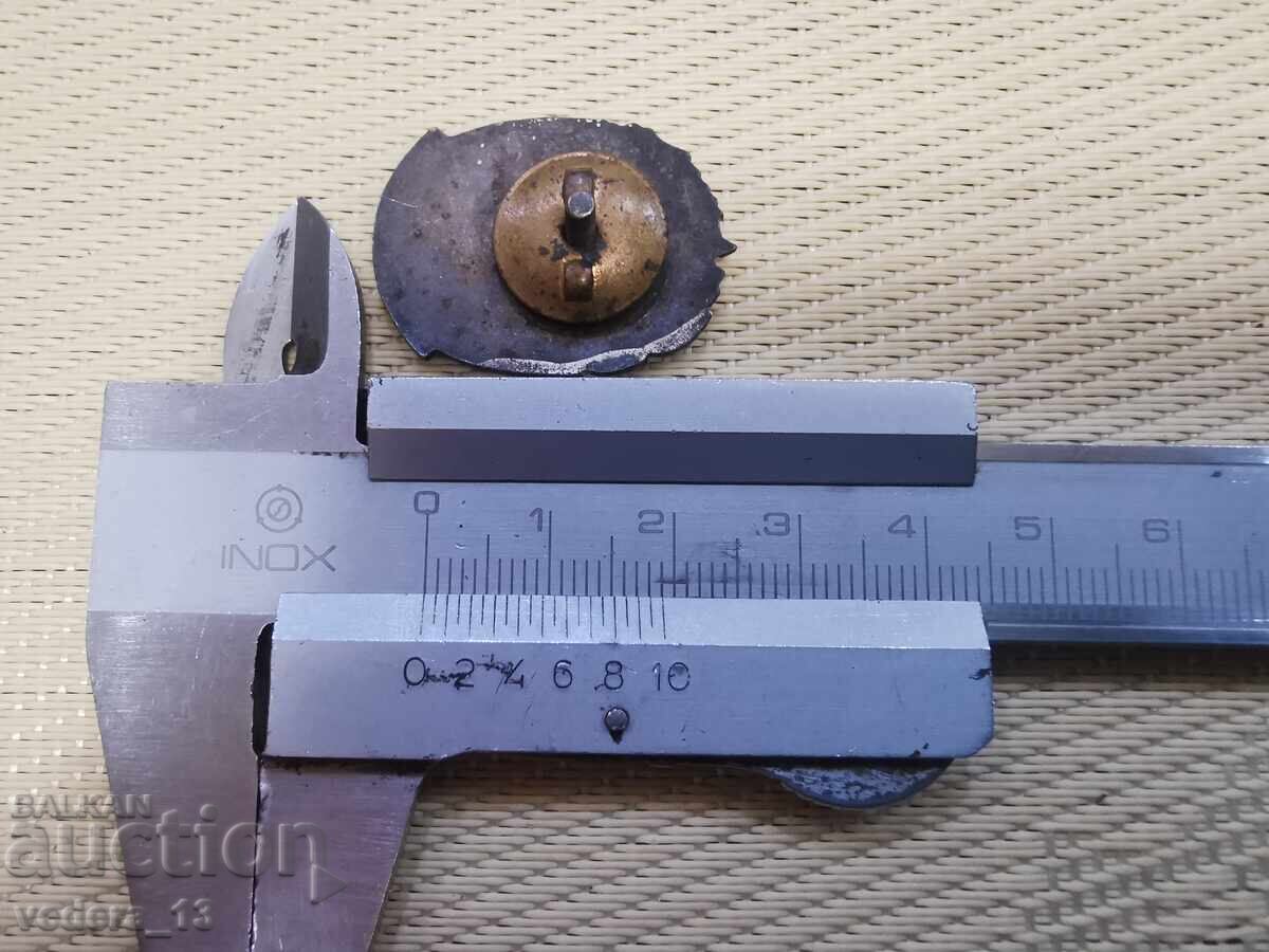 Licitație INSIGNĂ-EMAILBRONZ