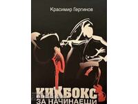Kickboxing for Beginners - Krasimir Gerginov 2025