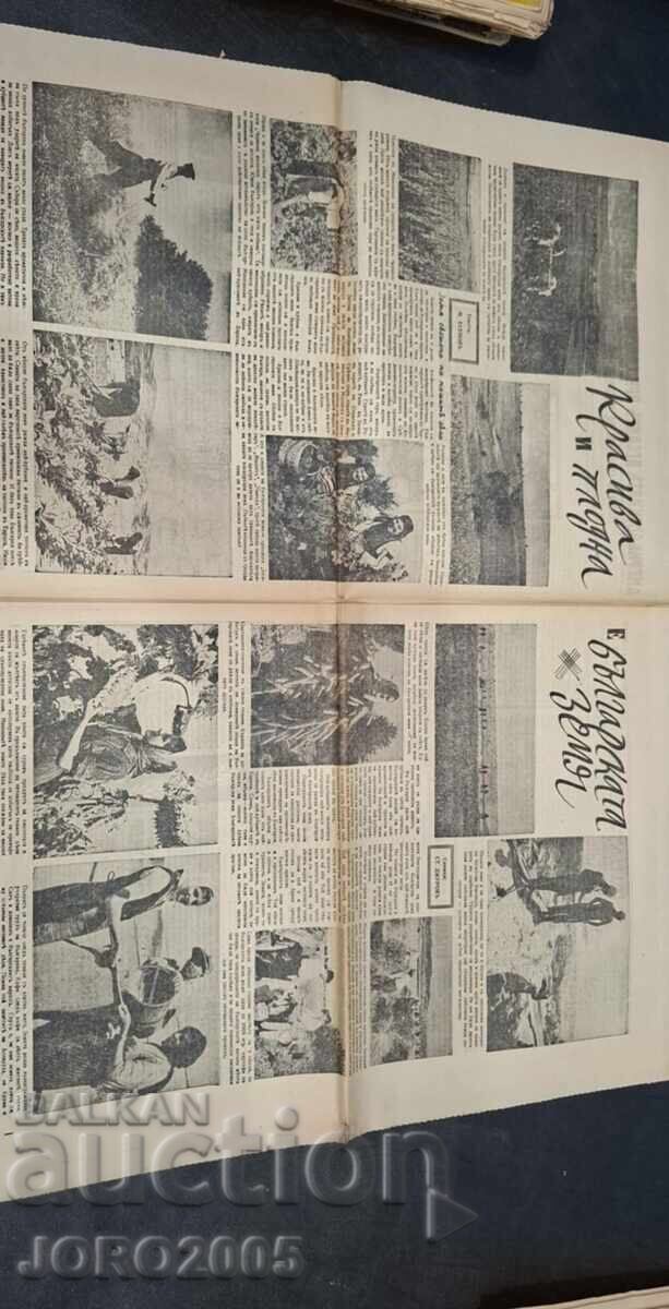 NASHENETS Messenger - The New Management 43y - 6