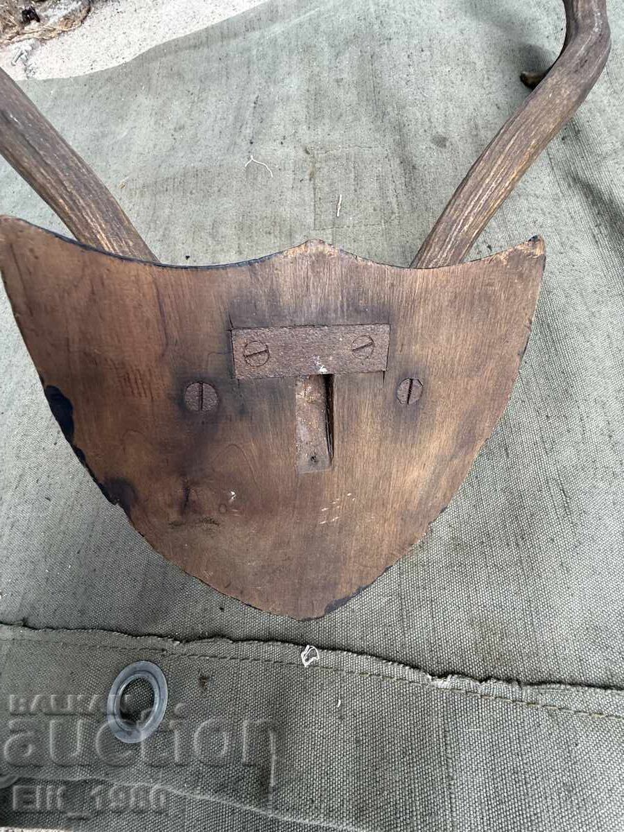 Trophy from a Deer - 5