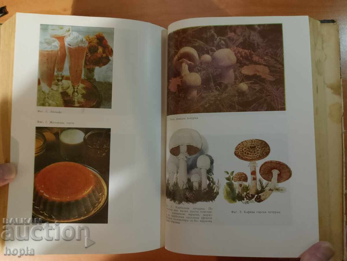 ΕΝΑ ΒΙΒΛΙΟ ΓΙΑ ΚΑΘΕ ΜΕΡΑ ΚΑΙ ΚΑΘΕ ΣΠΙΤΙ - ΕΓΚΥΚΛΟΠΑΙΔΕΙΑ ΝΟΙΚΟΚΥΡΩΝ με τιμή 2.00 BGN | € 1.02