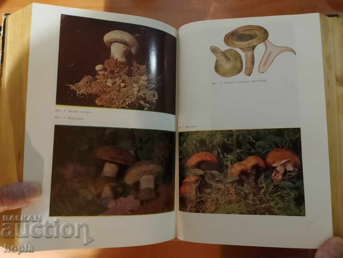 Δημοπρασία ΕΝΑ ΒΙΒΛΙΟ ΓΙΑ ΚΑΘΕ ΜΕΡΑ ΚΑΙ ΚΑΘΕ ΣΠΙΤΙ - ΕΓΚΥΚΛΟΠΑΙΔΕΙΑ ΝΟΙΚΟΚΥΡΩΝ