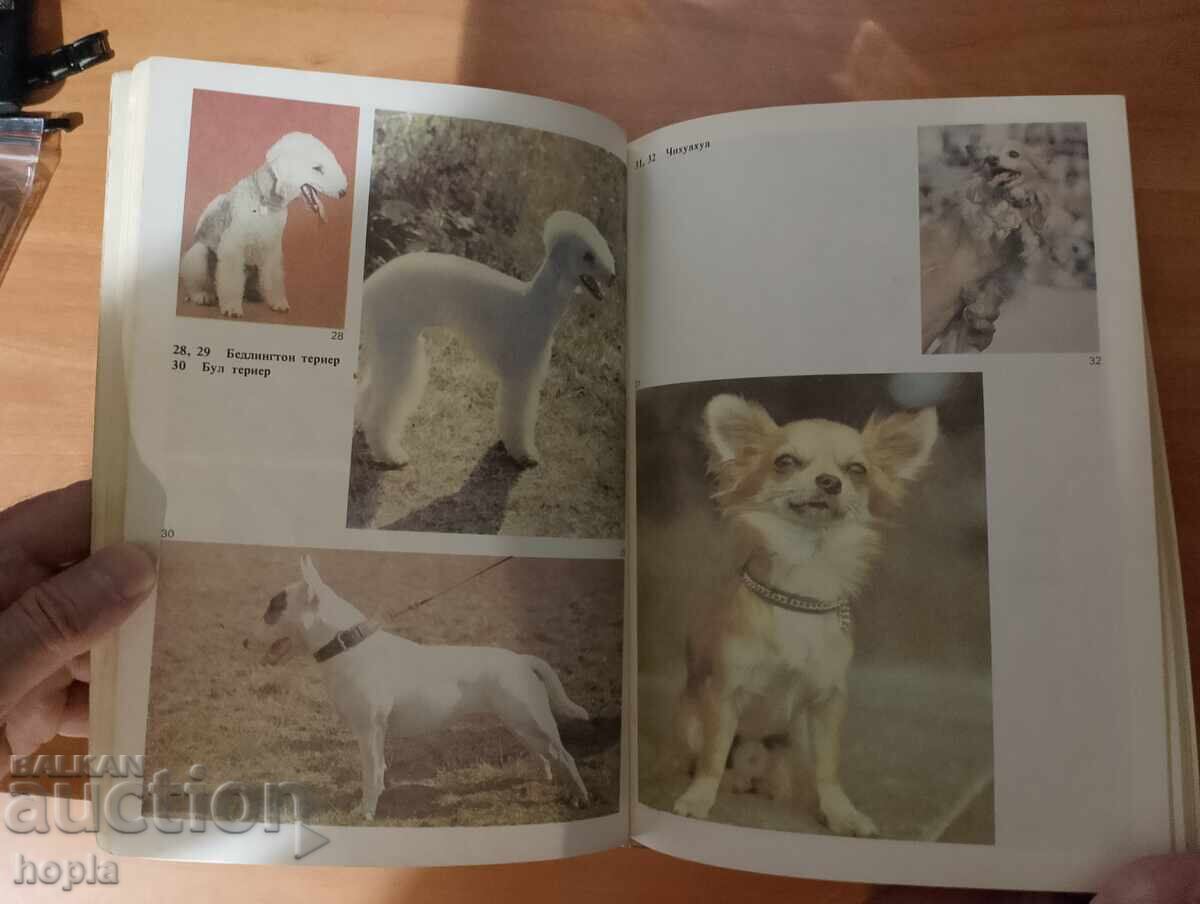 ΑΓΑΠΑΣ ΤΟ ΣΚΥΛΟ ΣΟΥ; με τιμή 1.00 BGN | € 0.51