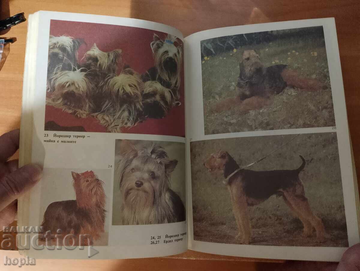 Δημοπρασία ΑΓΑΠΑΣ ΤΟ ΣΚΥΛΟ ΣΟΥ;