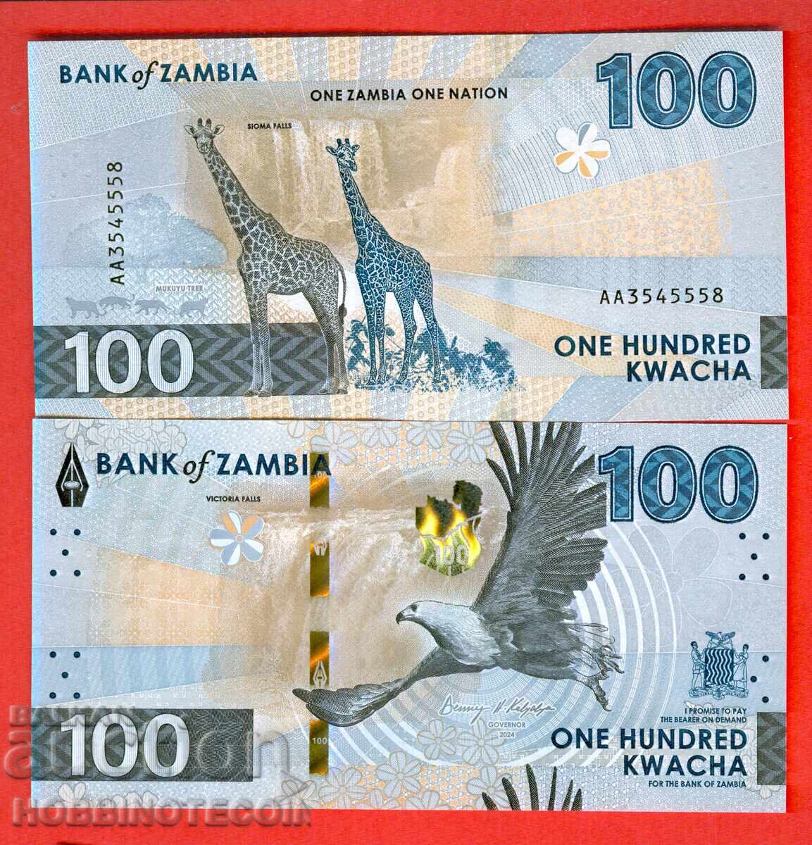 ЗАМБИЯ ZAMBIA 100 Квачи емисия - issue 2024 2025 НОВА UNC