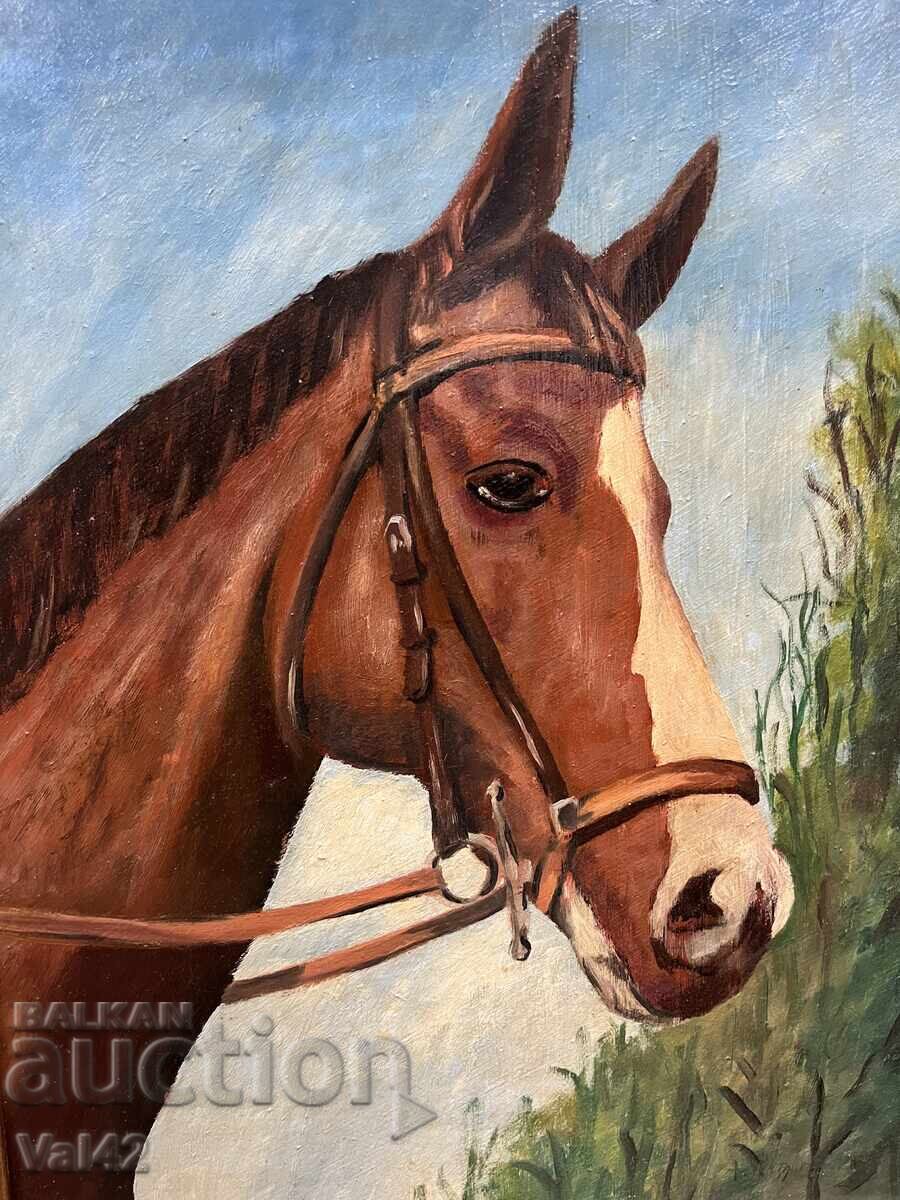 Beautiful portrait of a horse with price 49.00 BGN | € 25.05