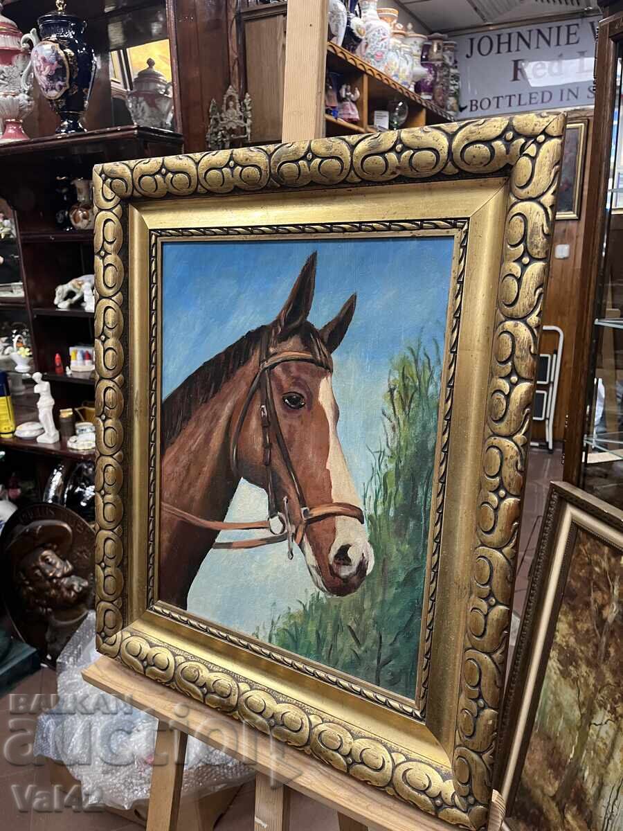 Auction  Beautiful portrait of a horse