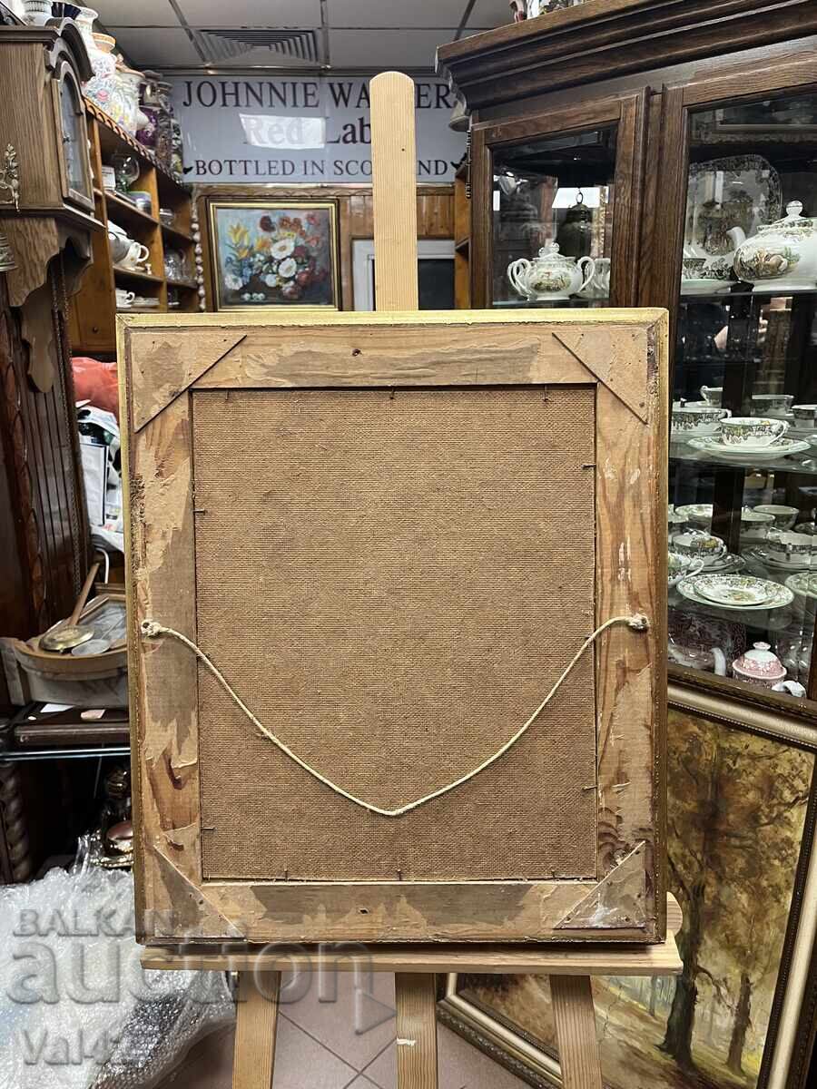 Beautiful portrait of a horse - 5