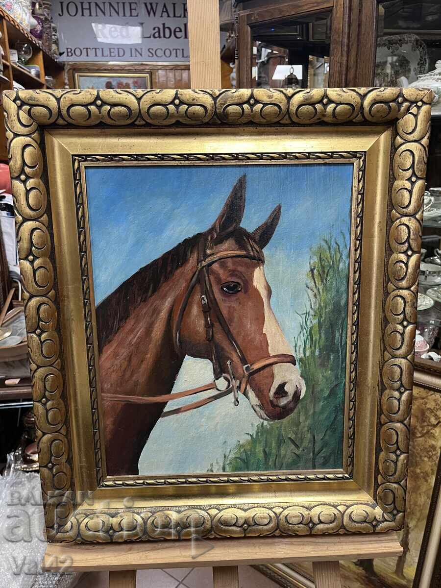 Beautiful portrait of a horse
