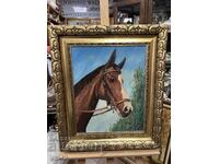 Beautiful portrait of a horse