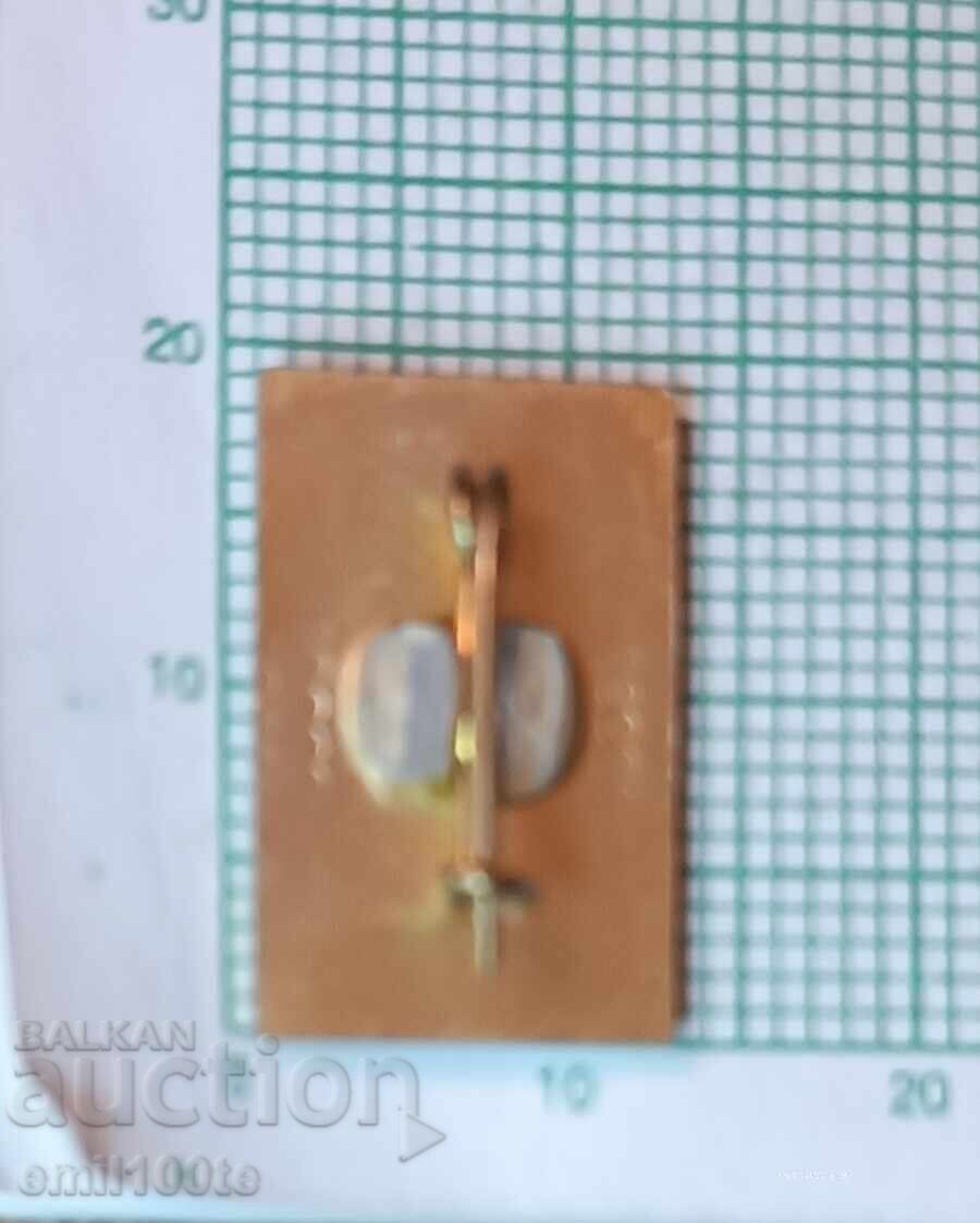 Delivery of Badge - Father Paisius