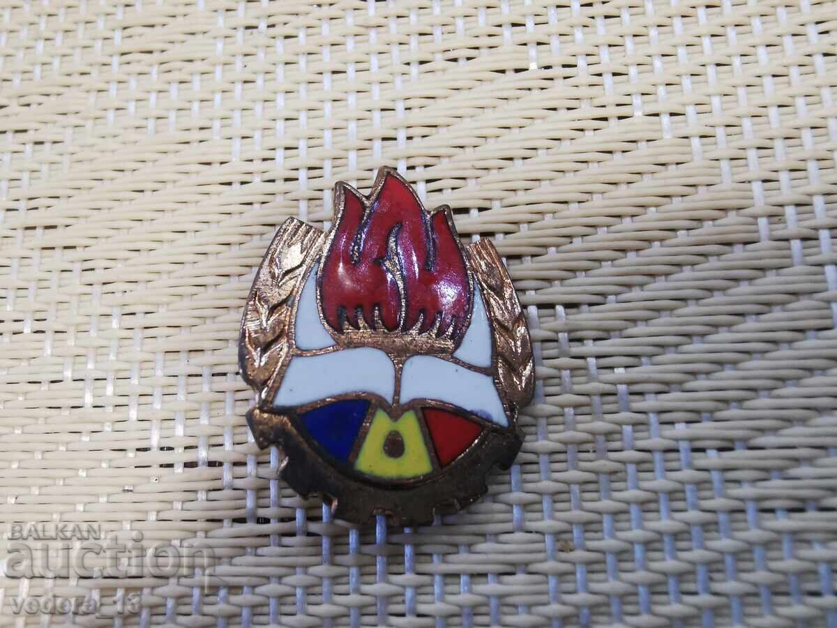 INSIGNĂ-EMAILBRONZ INSIGNĂ-EMAILBRONZ