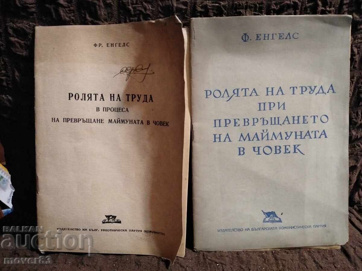 The Role of Labor in the Transformation of the Monkey into a Human