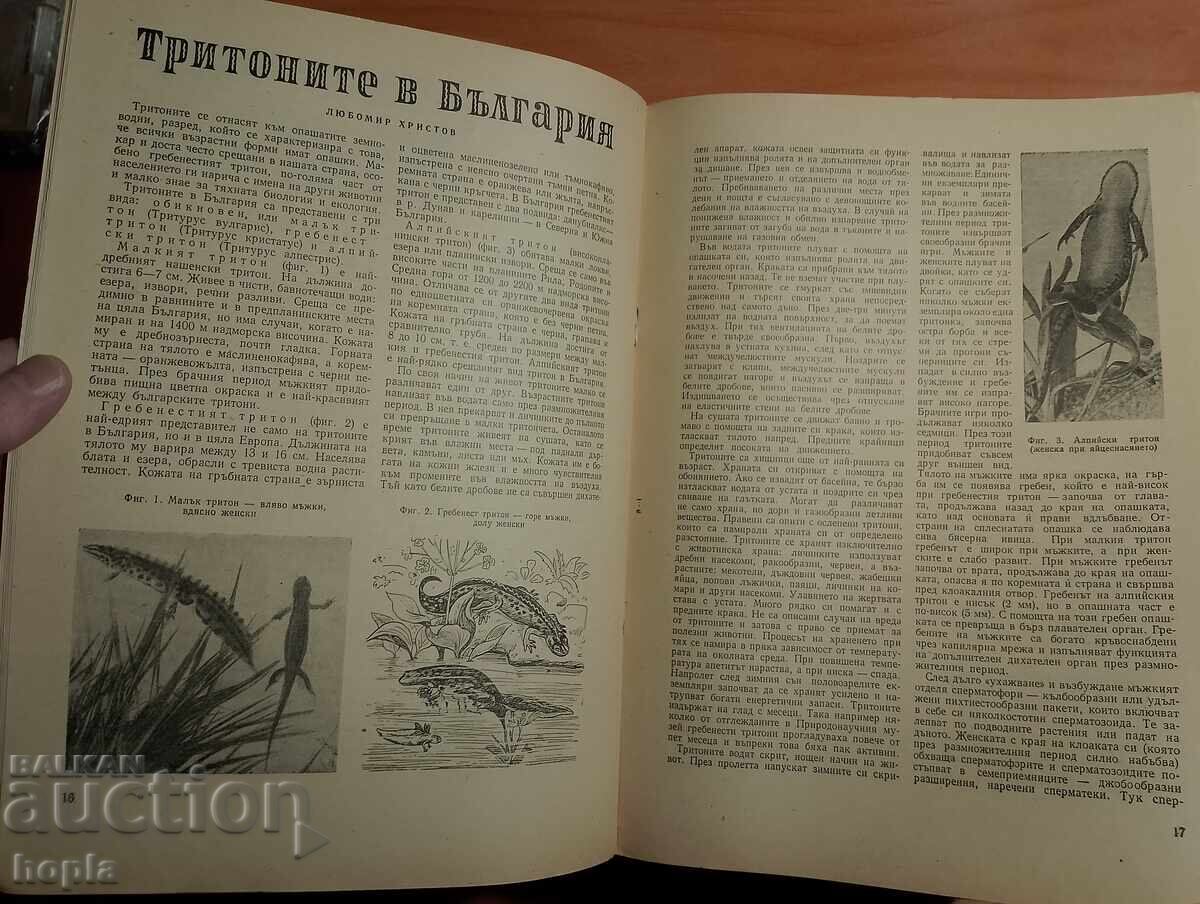 Δημοπρασία Περιοδικό ΦΥΣΗ ΚΑΙ ΓΝΩΣΗ 1959