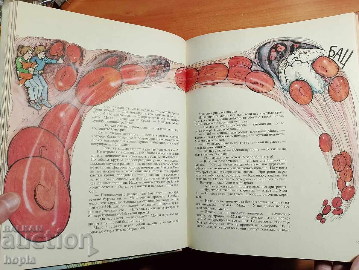 Δημοπρασία Κάρολ Ντόνερ: Τα Μυστικά της Ανατομίας