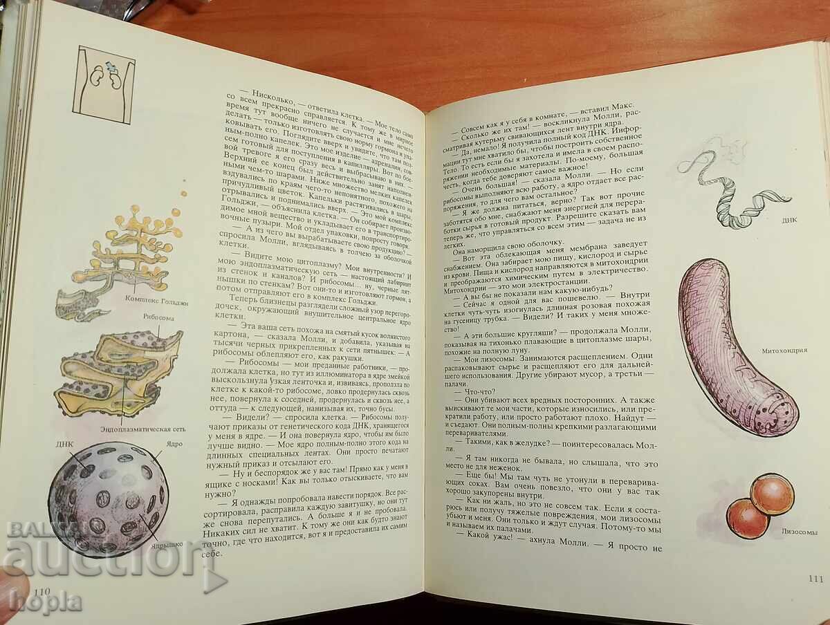 Παράδοση Κάρολ Ντόνερ: Τα Μυστικά της Ανατομίας