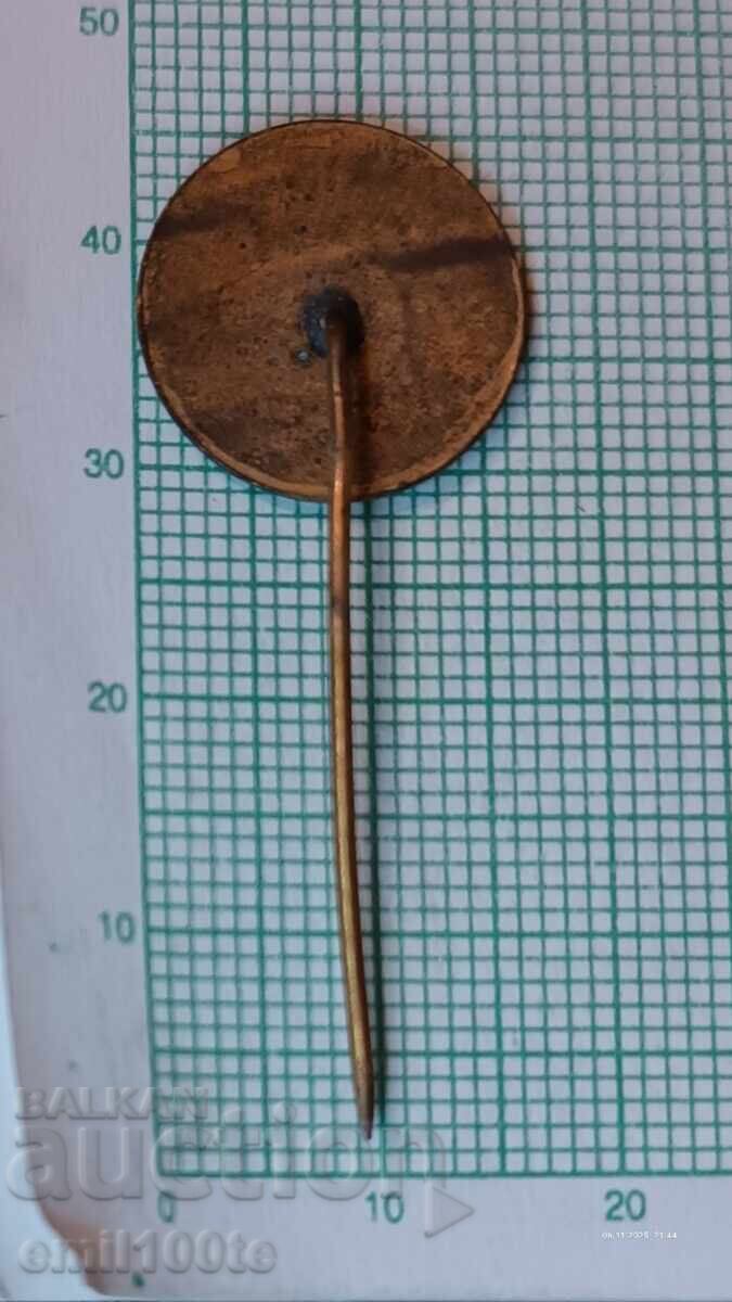 Badge - 1300 Years of Bulgaria 681 1981 - 5 Badge - 1300 Years of Bulgaria 681 1981 - 5