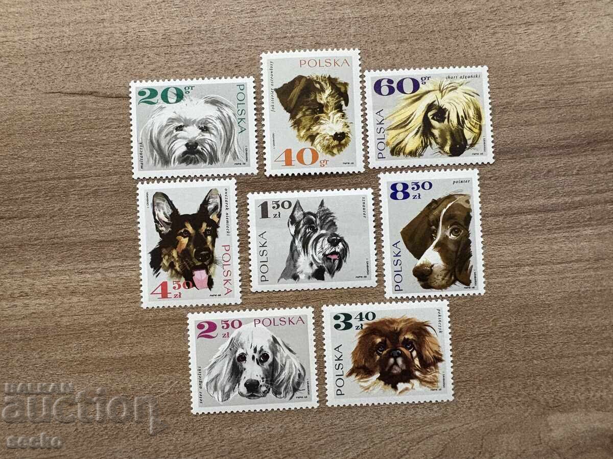 Polonia - Câini (1969) MNH