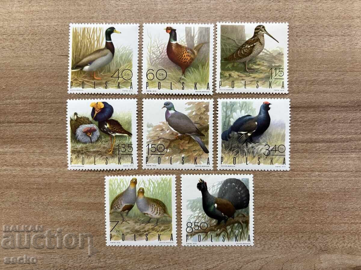 Πολωνία - Κυνηγετικά πτηνά (1970) MNH