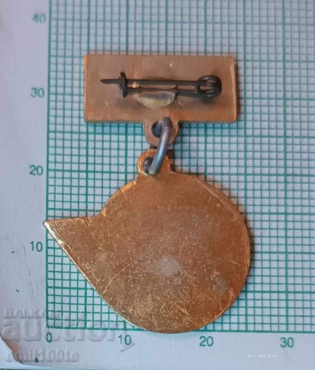 Delivery of Badge - 30 years of Socialist Railway Transport