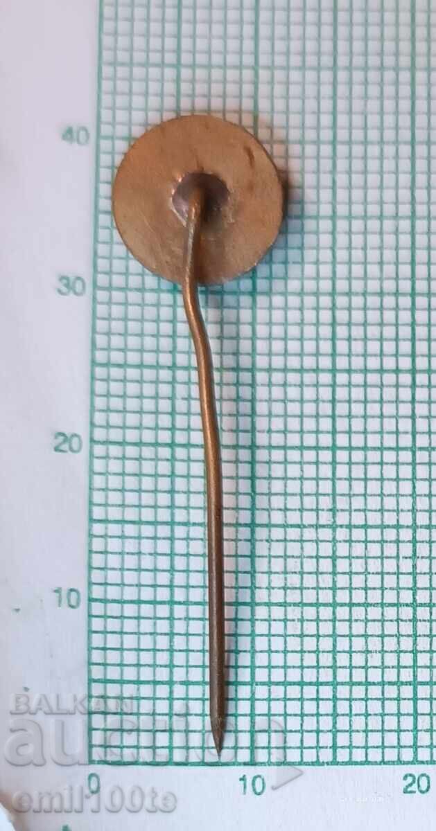 Livrarea Insigna - Rhodope