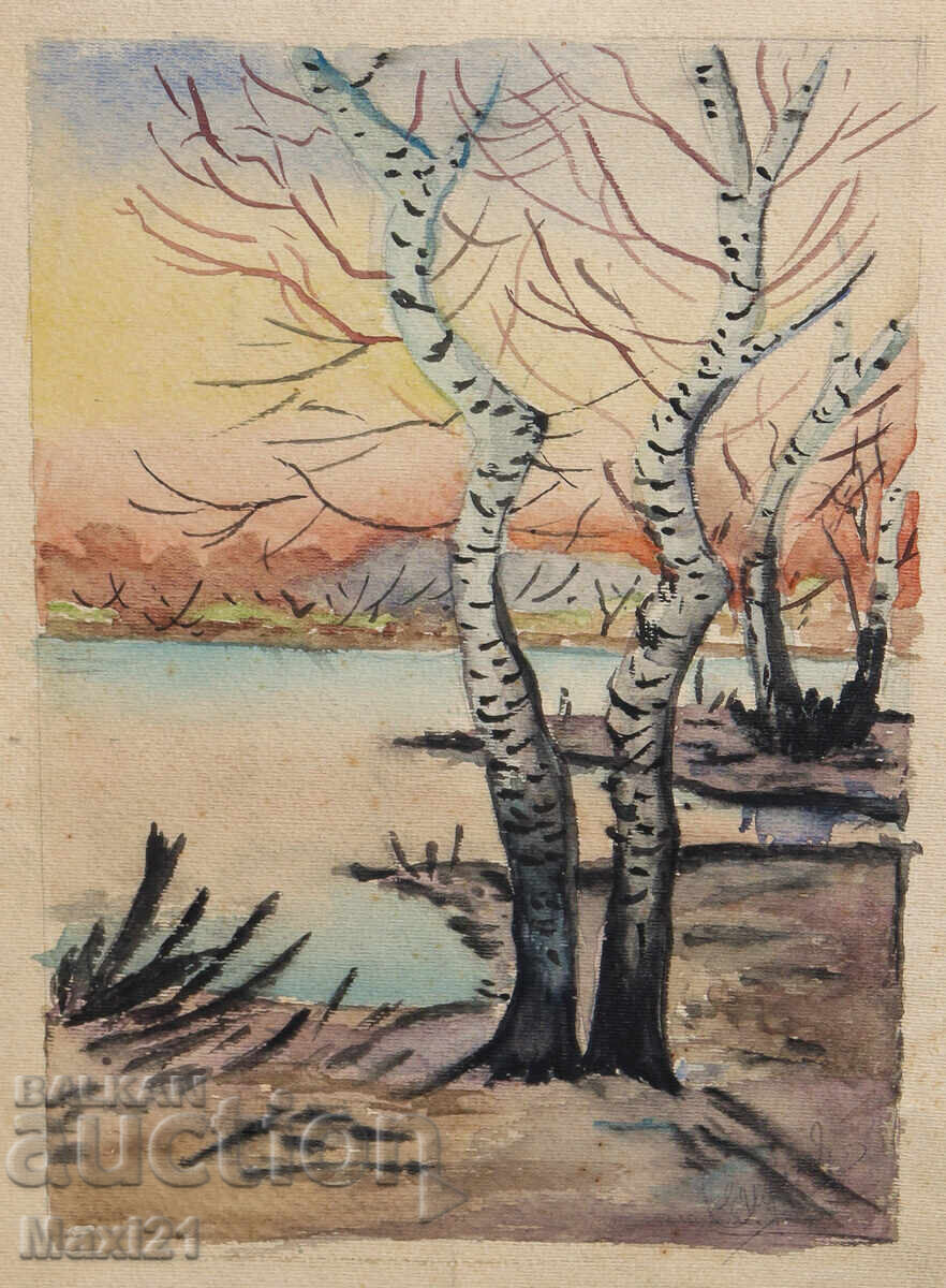 Watercolor painting landscape birch trees by a lake
