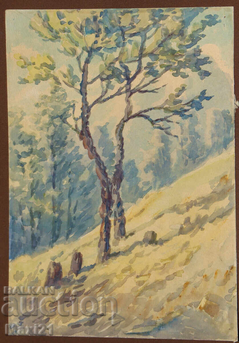 Old landscape painting watercolor nature with price 120.00 BGN | € 61.36